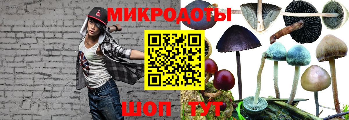 Галлюциногенные грибы Cubensis  Зеленокумск 